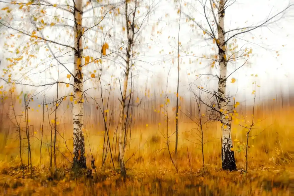 The Hidden Power of Daily Journaling