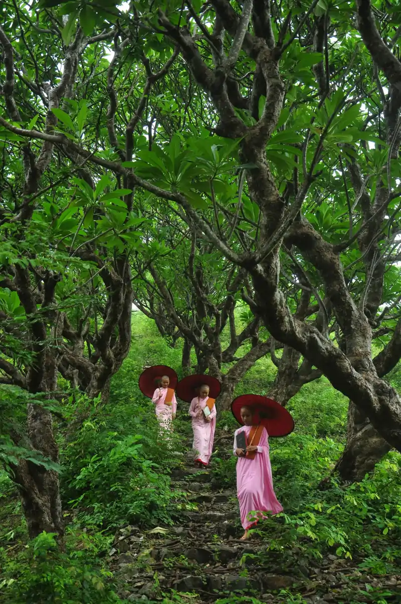 The Power of Storytelling in Marketing