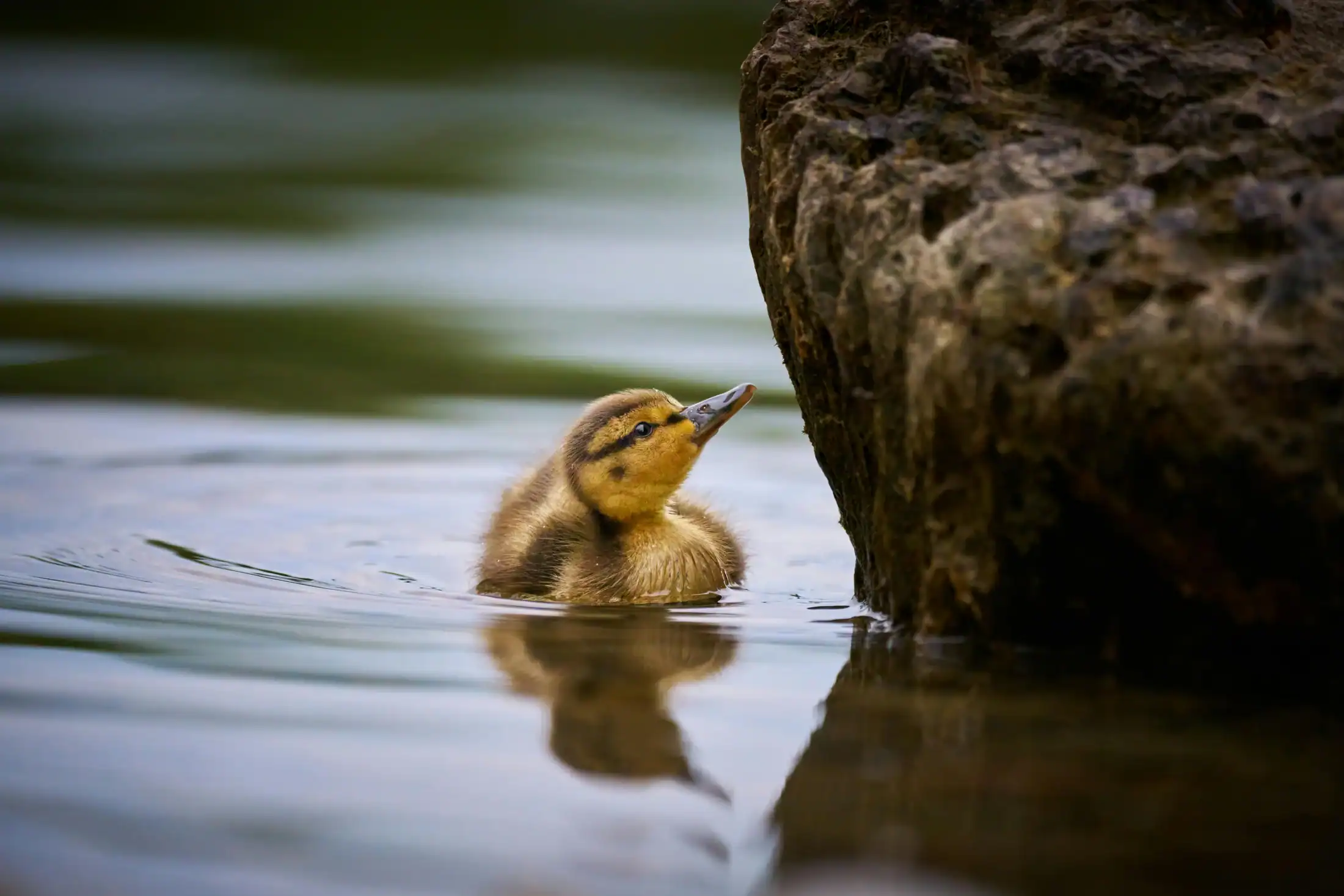 Exploring the Impact of Globalization on Cultures