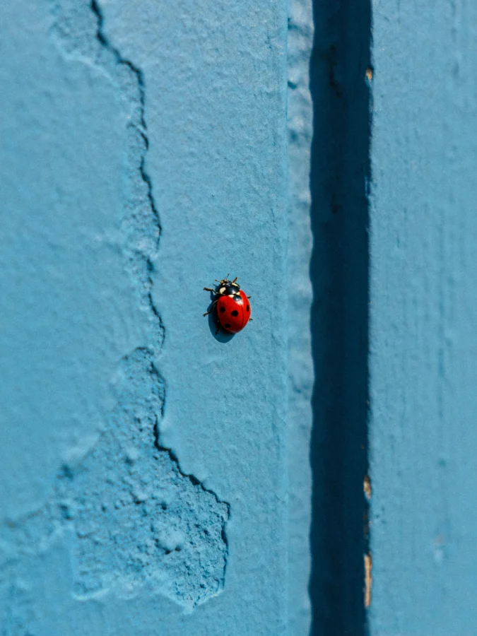 How Traveling Alone Can Change Your Life